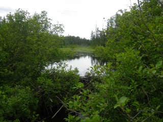 Beaver Dam